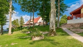 Zielony Gaj - zdjęcie 41