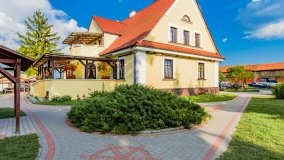 Zielony Lasek - zdjęcie 42