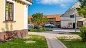 Zielony Lasek - zdjęcie 41