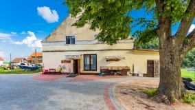 Zielony Lasek - zdjęcie 39