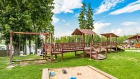 Zielony Gaj - zdjęcie 33