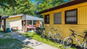 Port REF Łapy - zdjęcie 31