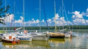 Port REF Łapy - zdjęcie 22