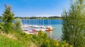 jezioro Ryńskie - zdjęcie 115