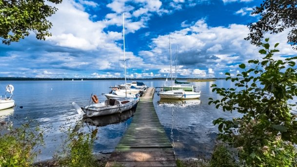 Pole Namiotowe Kokoszka - zdjęcie 16