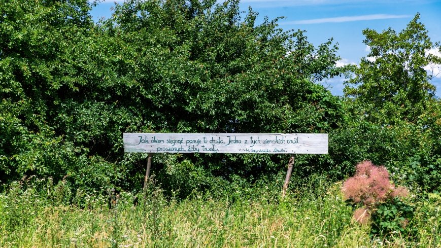 Przystań Hobby tawerny Zielony Wiatr - zdjęcie 1