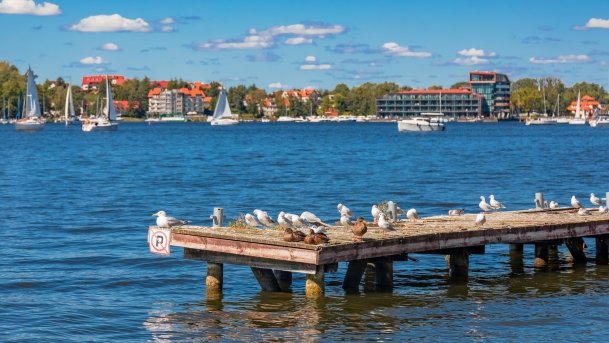 Port Miejski Mikołajki - zdjęcie 30