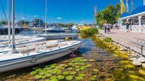 Mikołajki - zdjęcie 284