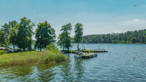 Port Wierzba - zdjęcie 11