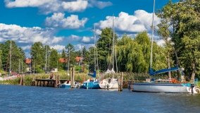 Wierzba - zdjęcie 52