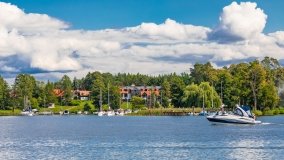 Wierzba - zdjęcie 51