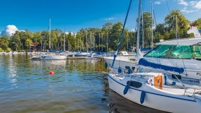 Port Wierzba - zdjęcie 53