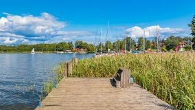 Port Wierzba - zdjęcie 44