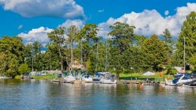 Wierzba - zdjęcie 49