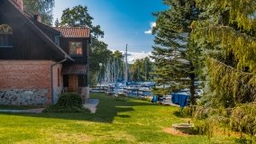 Wierzba - zdjęcie 48