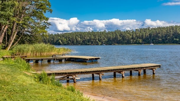 Pole Namiotowe Flosek - zdjęcie 14