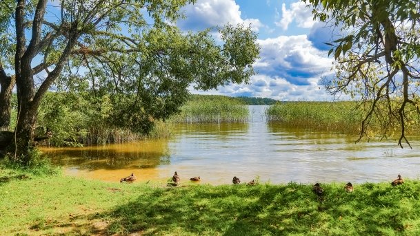 Galindia - zdjęcie 28