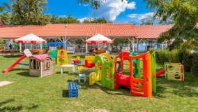 Kamień - zdjęcie 23