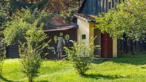 Port u Leśniczego - zdjęcie 5