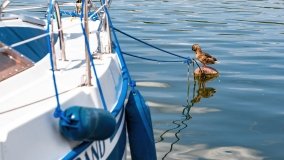 Przystań u Adama - zdjęcie 16