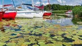 Przystań u Adama - zdjęcie 5