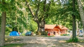 Przystań Pod Dębem - zdjęcie 32