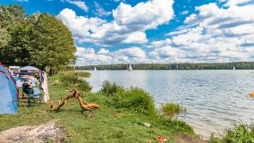 Pole namiotowe Zielona Binduga - zdjęcie 12