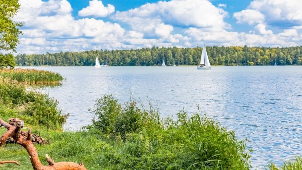 Pole namiotowe Zielona Binduga - zdjęcie 10