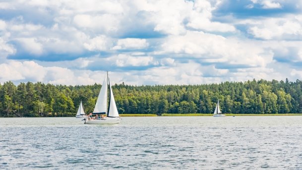 Pole namiotowe Zielona Binduga - zdjęcie 9