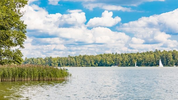 Pole namiotowe Zielona Binduga - zdjęcie 7