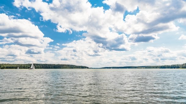 Pole namiotowe Zielona Binduga - zdjęcie 6