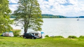 Pole namiotowe Zielona Binduga - zdjęcie 3