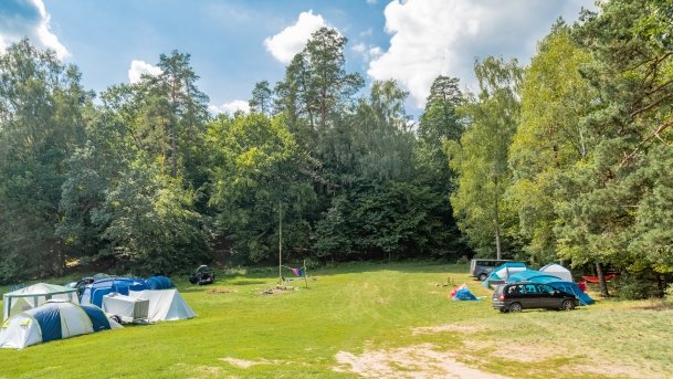 Pole namiotowe Zielona Binduga - zdjęcie 1