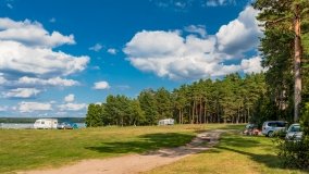 Pole namiotowe Drapacz - zdjęcie 43