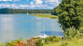 Pole namiotowe Drapacz - zdjęcie 40