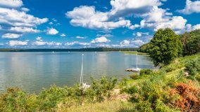 Pole namiotowe Drapacz - zdjęcie 39