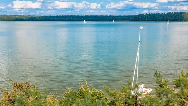 Nidzkie - zdjęcie 91