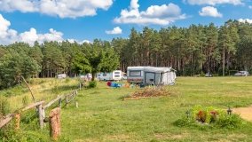 Pole namiotowe Drapacz - zdjęcie 35