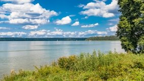 Pole namiotowe Drapacz - zdjęcie 27