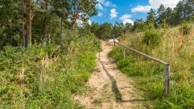 Pole namiotowe Drapacz - zdjęcie 25