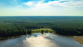 Pole namiotowe Drapacz - zdjęcie 15