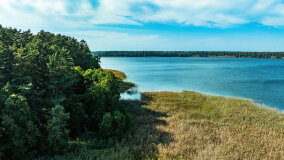 jezioro Nidzkie - zdjęcie 12