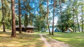 Czaple - zdjęcie 12