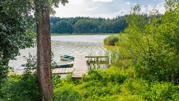 Nidzkie - zdjęcie 84