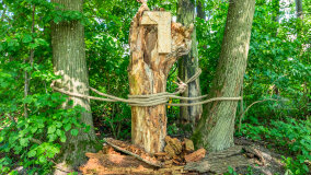 Przystań Mazuralia Przeczka - zdjęcie 53