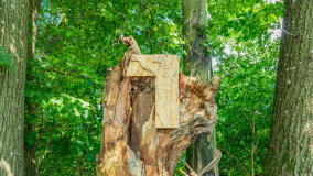 Przystań Mazuralia Przeczka - zdjęcie 51