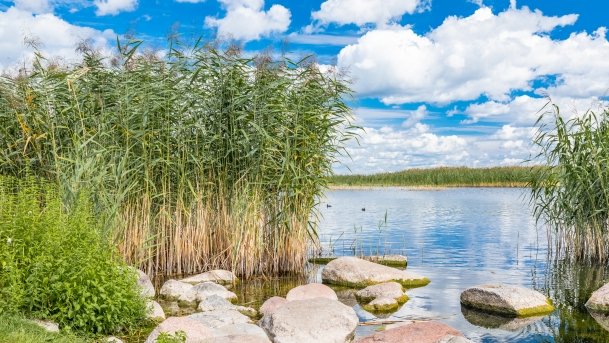 Port Popielno - zdjęcie 10