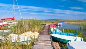 Keja Karwik - zdjęcie 7