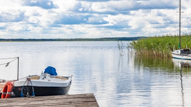 Pomosty Zdory - zdjęcie 5