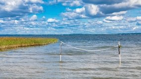 Słoneczne Zdory - zdjęcie 10